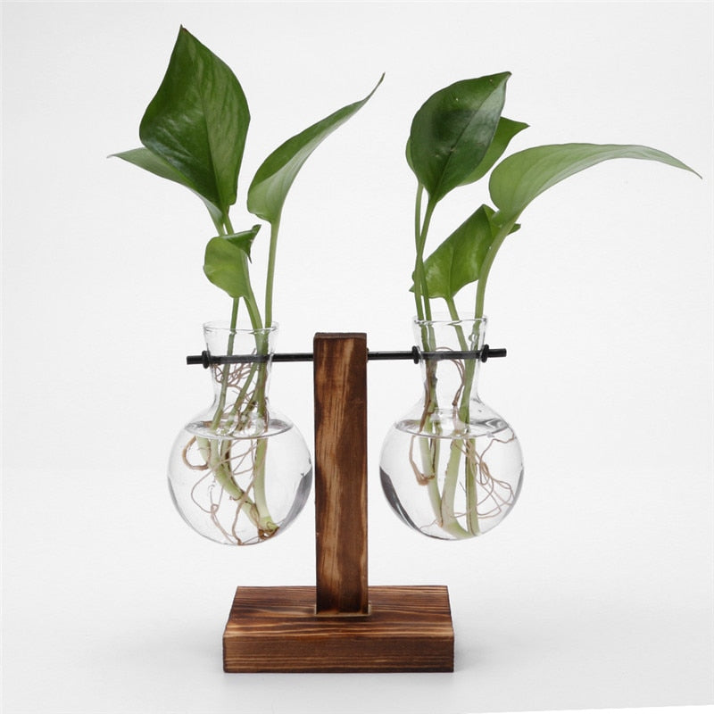 NNEOBA Glass and Wood Vase Planter Terrarium Table Desktop Hydroponics Plant Bonsai Flower Pot Hanging Pots with Wooden Tray Home Decor